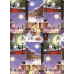 Gift Wrap  Tomte with Cat 23"x72"